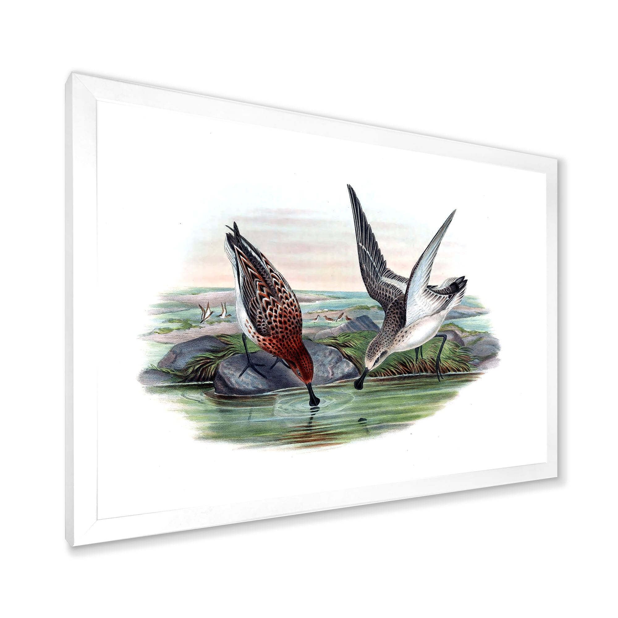 Designart 'Vintage Countryside Two Birds In Lake' Farmhouse Framed Art Print