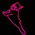 thumbnail image 2 of Handmadetneonsign French Bulldog Neon Sign, Bulldog Dog Pet Wall Art Decor, Pet Grooming Spa Wall Decor, 2 of 5
