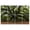 Color 3, variant on 8 Pack Art Acoustic Panels Sound Absorbing ancient southern live oak tree Island South Decorative Soundproof Wall Panels Self Adhesive for Recording Studios Office 48"x32"