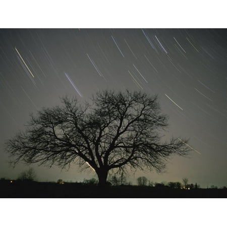 Star Trails, 20 Minutes Exposure Time, Pusztaszer, Hungary Print Wall Art By Bence
