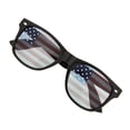 thumbnail image 4 of grinderPUNCH American Flag Classic Shape Adult Sunglasses for Men Women, 4 of 5