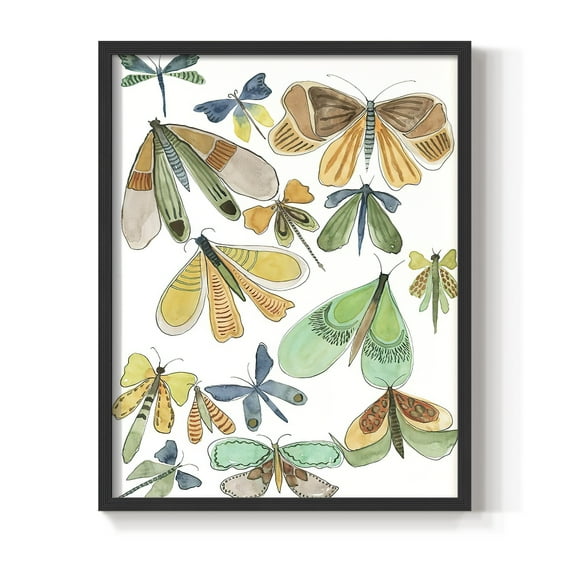 Wings Galore II Framed Print - Solid Wood in Single Picture Frame Solid Wood 2 Framed Print