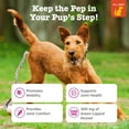 thumbnail image 3 of Zesty Paws Mussel Hip & Joint Bites for Dogs, Functional Dog Supplement Promotes Mobility and Flexibility, Chicken Flavor, 90ct, 3 of 12