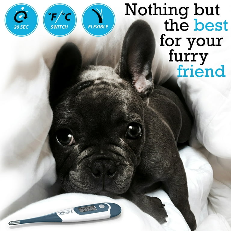 What Kind Of Thermometer Do I Use For My Dog