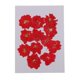 thumbnail image 3 of Flores secas prensadas naturales 12 Pedazos de Flores Prensadas Llamativos Accesorios de Bricolaje Manual, 3 of 9