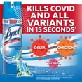 thumbnail image 5 of LYSOL Disinfectant Spray - Spring Waterfall, 19 Oz (Pack of 5), 5 of 6