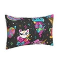 thumbnail image 2 of Balery Rainbow Unicorn And Cat Icecream Pillow Covers,Bed Pilowcases,Reversible Plush Throw Pillow Covers End Pillow Encasement,Pillow Case - 14"X20", 2 of 9