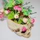 thumbnail image 1 of Contenedor de almacenamiento de plato de fruta brillante de maceta de modelo de cráneo humano de resina, 1 of 7