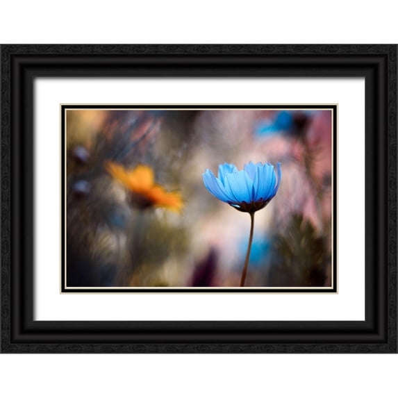 Bravin, Fabien 24x17 Black Ornate Wood Framed with Double Matting Museum Art Print Titled - Do you wanna dance with me