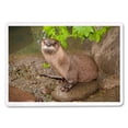 thumbnail image 2 of River Otter on Shore, Lantern Press, Premium Playing Cards, 52 Card Deck with Jokers, USA Made, 2 of 4