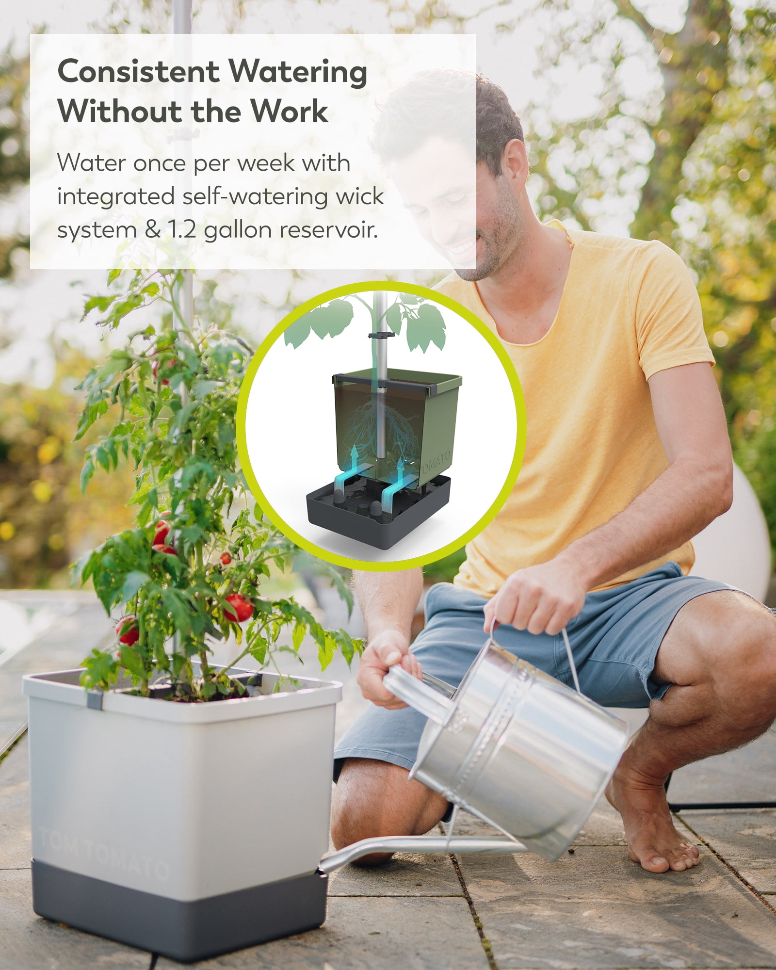 BUZZY Seeds Self-Watering Vertical Tomato Planter with Trellis – 1.2 Gal Reservoir, Large Capacity Planter for Tomatoes & Climbing Plants (Gray)