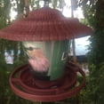 thumbnail image 4 of Eqslft Bird Feeder for Outside Outdoors Hanging, Adjustable Hopper Feeders with Wide Tray and Rainproof Roof, Wild Birds Feeder for Garden Backyard Decoration, 4 of 8