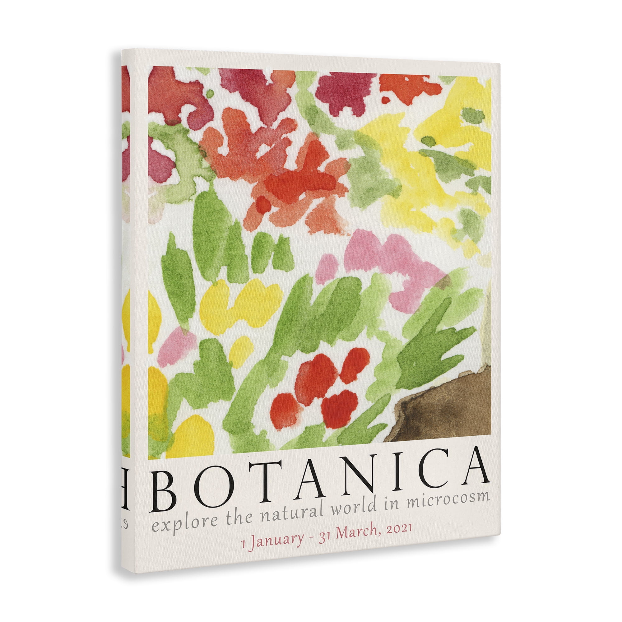 Stupell Industries Botanica Floral Museum Plants & Flowers Painting Wrapped Canvas Art Print Wall Art, 16 x 20