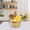Orange, variant on Stainless Steel Steamer Basket , Mesh Steamer Insert with Silicone Handle & Feet, Food Steamer Basket for Pressure Cookers, Veggies, Eggs, Meats