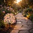 thumbnail image 7 of Dtchengua 2 Pack Artificial Topiary Ball Trees With Light for Outdoor, UV Resistant Fake Plants Shrubs Bushes, Realistic Faux Flowers Greenery Spring Deko for Front Porch, Garden, Yard, Patio (Pink), 7 of 7