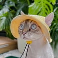 thumbnail image 4 of Minzimin Pet hat with Ear Holes Sunscreen Baseball Cap Suitable for Small and Medium-Sized Dogs Outdoor Climbing hat in Summer Pet Products  1Pack, 4 of 6