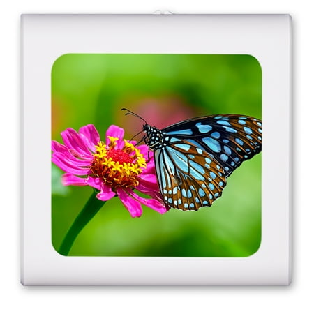 Plug in Dimmable LED Night Light with Dusk to Dawn Auto Sensor Adjustable Brightness Warm Light Auto On/Off Nightlight for Bathroom Hallway Nursery Bedrooms - Blue and Black Butterfly