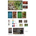 thumbnail image 4 of Renegade Game Studios REN0818 Architects of the West Kingdom Metal Coins Board Game, 4 of 5