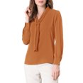 thumbnail image 1 of INSPIRE CHIC Chemise Élégante pour Femme de Travail/bureau à Manches Longues Plissée à Col Noué Brun TG, 1 of 6