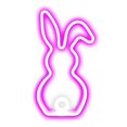 thumbnail image 3 of SUTENGDA 2pcs Easter Window Lights Easter Eggs Bunny Lights Decorations Battery Operated Easter Lights with Suction Cup Easter Decorations for Home Indoor Easter Party Decor, 3 of 5