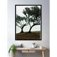 thumbnail image 2 of Frame Your Forest Green 2 Poster Wall Art, Modern Wall Decor, 16x24 UNFRAMED, 2 of 3