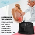 thumbnail image 2 of AVESTON Lumbar Brace Back Support Belt for Lower Back Pain Relief Women Men - XL Size, 2 of 11