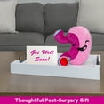 thumbnail image 3 of Attatoy Plush Stomach - Barry The Sleeve - 10-Inch After Surgery Pal, Bariatric Gastric Bypass Sleeve; Surgery Education, Surgeon Gift, 3 of 10