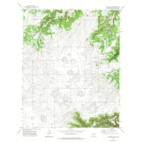 Topographical Map - Llonidas Lake New Mexico Quad - USGS 1972 - 23 x 29.78 - Vintage Wall Art