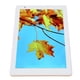 thumbnail image 3 of Tablet PC 2GB RAM 32GB ROM Tablet HD de 8 pulgadas Ángulo de visión amplio de 178 100-240V con carcasa de metal para juegos para Android 11 para video ANGGREK Otros, 3 of 8
