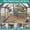 Grey+Metal+Pine+PVC, variant on XIZE Large Outdoor Cat House with Planter Stand,Wooden Cat Enclosure with Resting Boxes for Multiple Kittens,Hanging Bridge,Platforms,Walk-In Catio Cage with Waterproof Proof Cover,Grey
