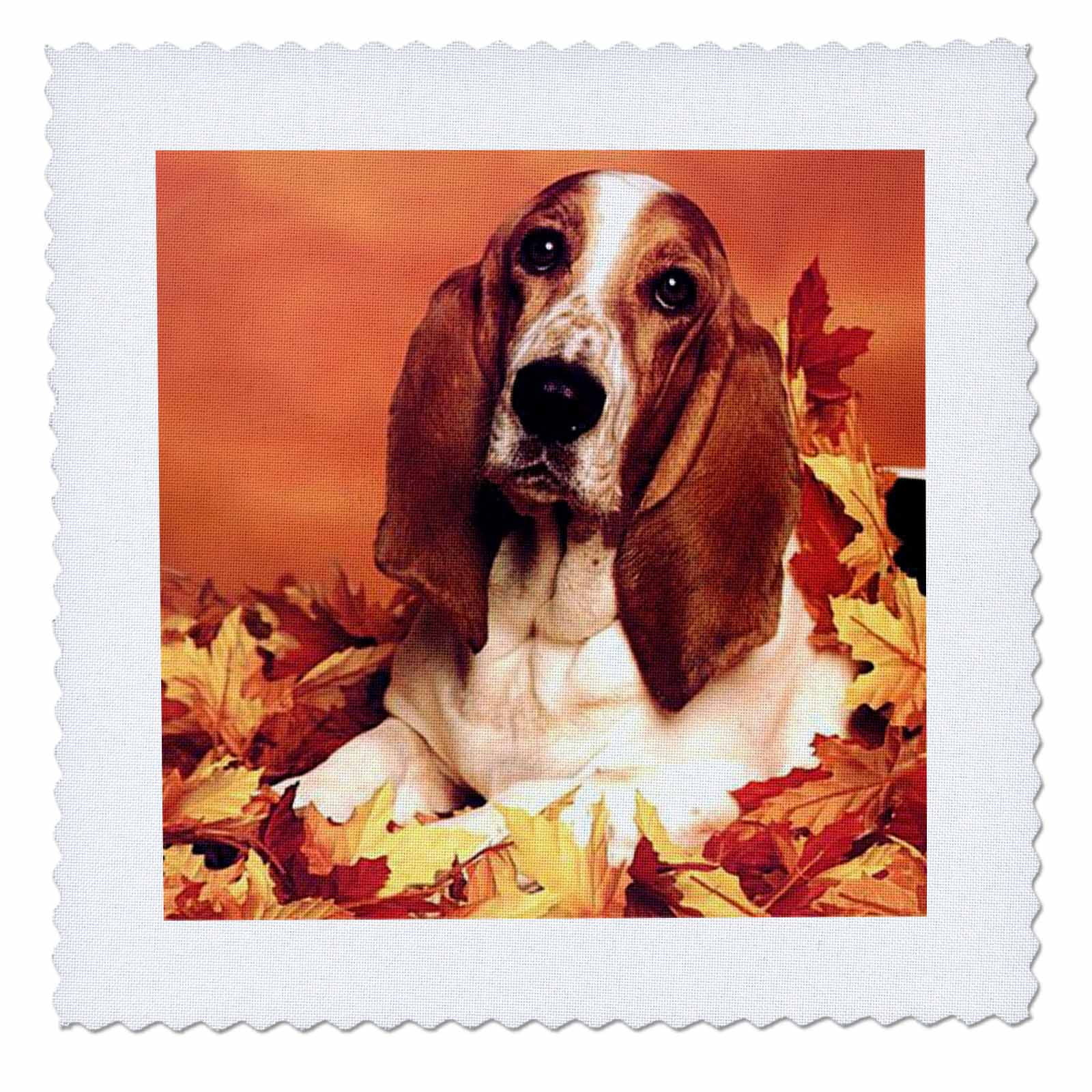 3dRose Basset Hound Quilt Square, 10 by 10inch