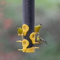 thumbnail image 3 of Perky-Pet Finch Feeder, 3 of 8