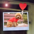 thumbnail image 5 of 4PCS pet suit Teddy Chihuahua polo shirt Teddy Golden Retriever suit puppy suit, 5 of 6
