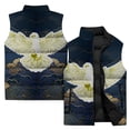 thumbnail image 5 of Chaleco cálido informal de invierno, chalecos de moda, chaleco de algodón con estampado de pájaros y cuervos dorados, ropa para hombre 2024, chaquetas para hombre sin mangas, 5 of 5
