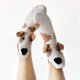 thumbnail image 1 of Calcetines de animales de punto divertidos, calcetines de boca ancha creativos en 3D, calcetines de piso de cocodrilo de punto grueso y cálido, Unisex, novedad de invierno, 1 of 4