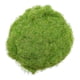 thumbnail image 4 of Modelo de hierba en polvo Césped para terreno de hierba de tierras bajas en miniatura DIY Verde, 4 of 6