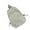 Off white, variant on Backpacks with Ergonomic Padding Outdoor Storage
