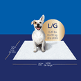 thumbnail image 2 of Scott Pet Guard Advanced Dog Pads - Dog Training Pee Pads for Puppies, Medium & Large Dogs - Large - 22" x 22" - 100 Pack, 2 of 4