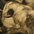thumbnail image 3 of Panasenko, Inna 15x15 Black Modern Framed Museum Art Print Titled - Toros VII, 3 of 5