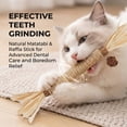 thumbnail image 4 of YTSKJ Cat Toys 7 Pack Silvervine Sticks Cat Feather Toy Kitten Chew Catnip Treat for Dental Care Teeth Cleaning Indoor Kitty Molar Snack Interactive Toy, 4 of 7