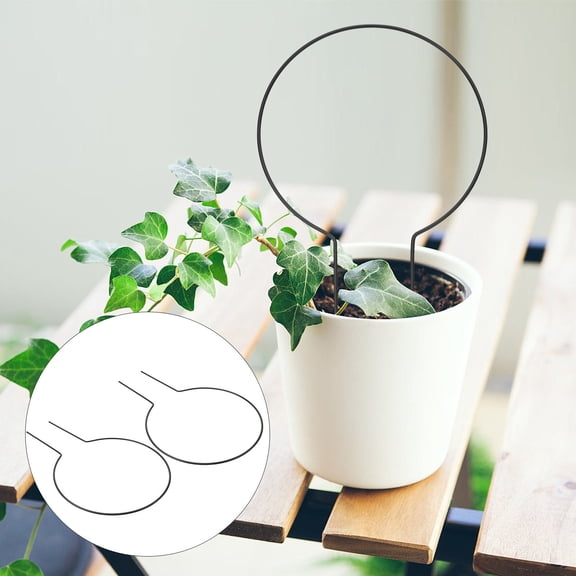PBPBOX 2Pcs Black Iron Plant Support for Climbing Plants Durable and Reusable