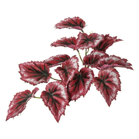 Begonia Leaves - Vickerman 12
