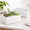 10 inch - 2 Pack, variant on 14 Inch Ceramic Indoor Plant Pot With Drainhole Rectangular Succulent Planter Window Box Removable Saucer Unglazed White (pack Of