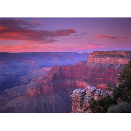 View of the South Rim from Pima Point Grand Canyon National Park Arizona Poster Print by Tim