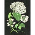 thumbnail image 2 of Art.com White Hydrangea Study II Stretched Canvas Print Wall Art by Melissa Wang, 12" x 16", 2 of 4