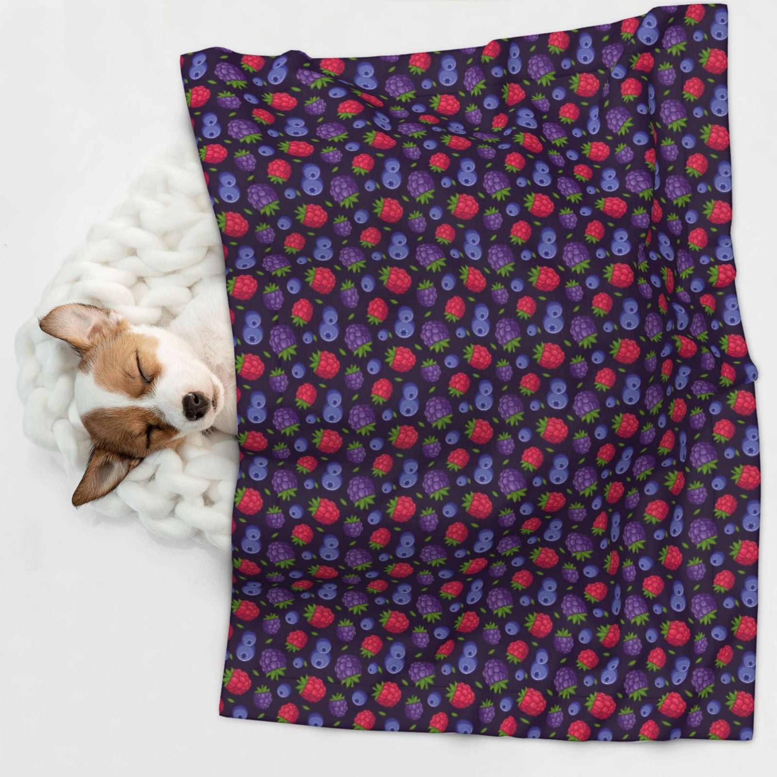 Naloa Blackberries Dog Blanket, 3 Sizes Cat Blanket for Indoor Cats Large Medium Small Dog Gifts-Small