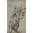 thumbnail image 3 of Leonaert Bramer 12x18 Black Modern Framed Museum Art Print Titled - Studies of a Bear (1620s), 3 of 5