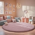 thumbnail image 5 of Shag Area Rugs for Living Room 9'(Round), Soft and Fluffy Shaggy Carpet for Pets, Machine Washable Floor Rugs for Living room, 5 of 8