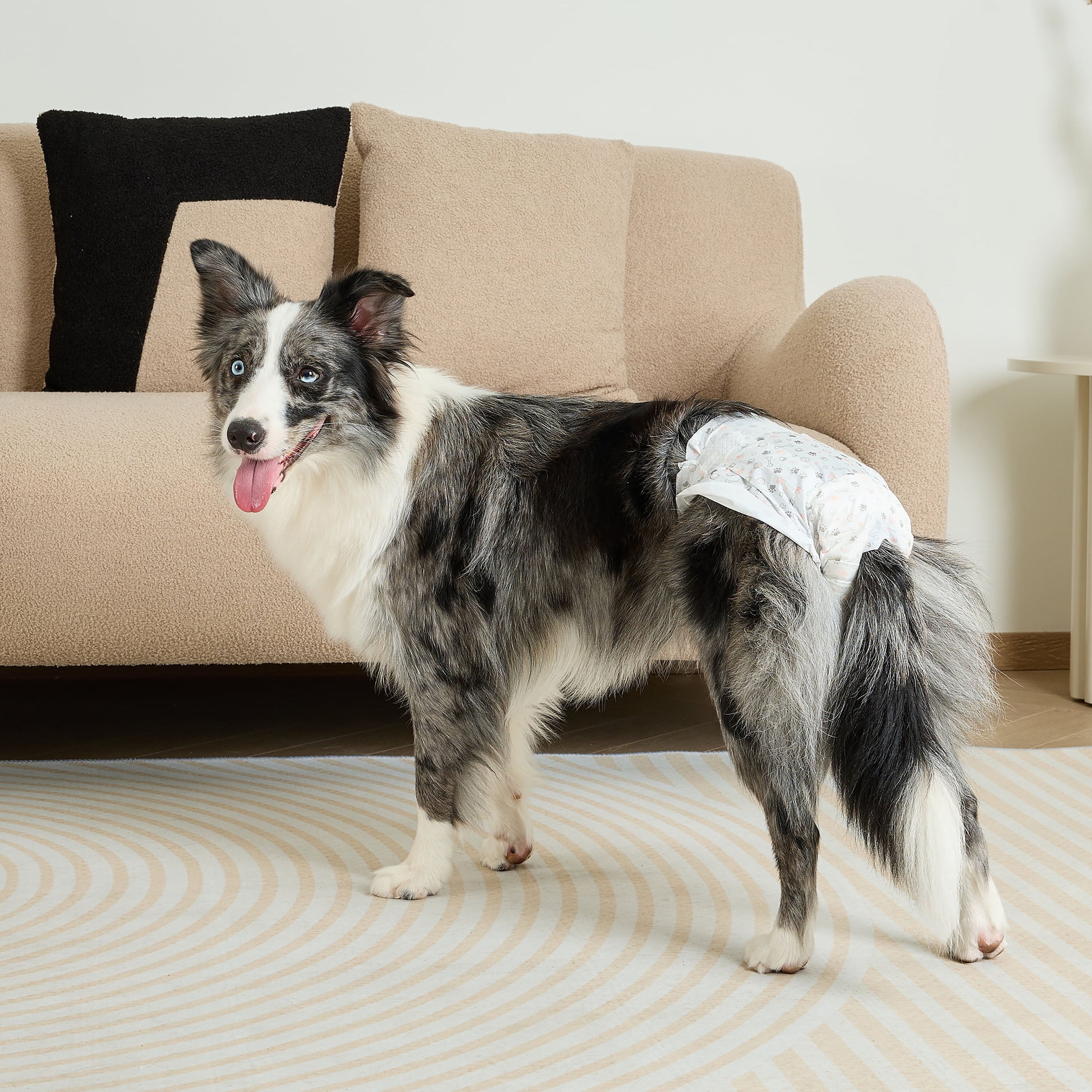 (4 pack) Vibrant Life Disposable Dog Diapers for Female Dogs, M, 12 Count