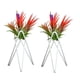 thumbnail image 5 of Soporte Para Plantas De Aire De Mesa, Exhibición De Arte Del Hierro, Decoración Para Interiores Y Exteriores Para El Hogar, Adornos Geométricos De Jardín Tillandsia, Soporte Para Macetas De Oficina Speravity HA026904-01, 5 of 5